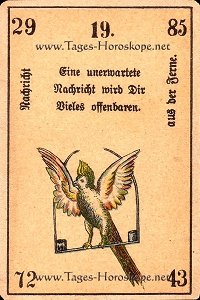 Kabbalahoroskop der Papagei