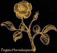 Die Rosen Kabbala Monatshoroskop Frau