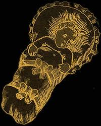 Das Baby Kabbala Monatshoroskop Frau