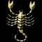 Alle Skorpion Horoskope